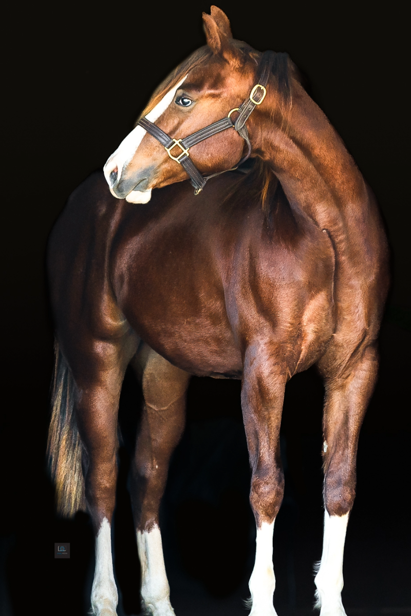 placeholder image-sq