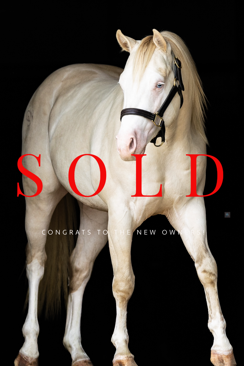 placeholder image-sq