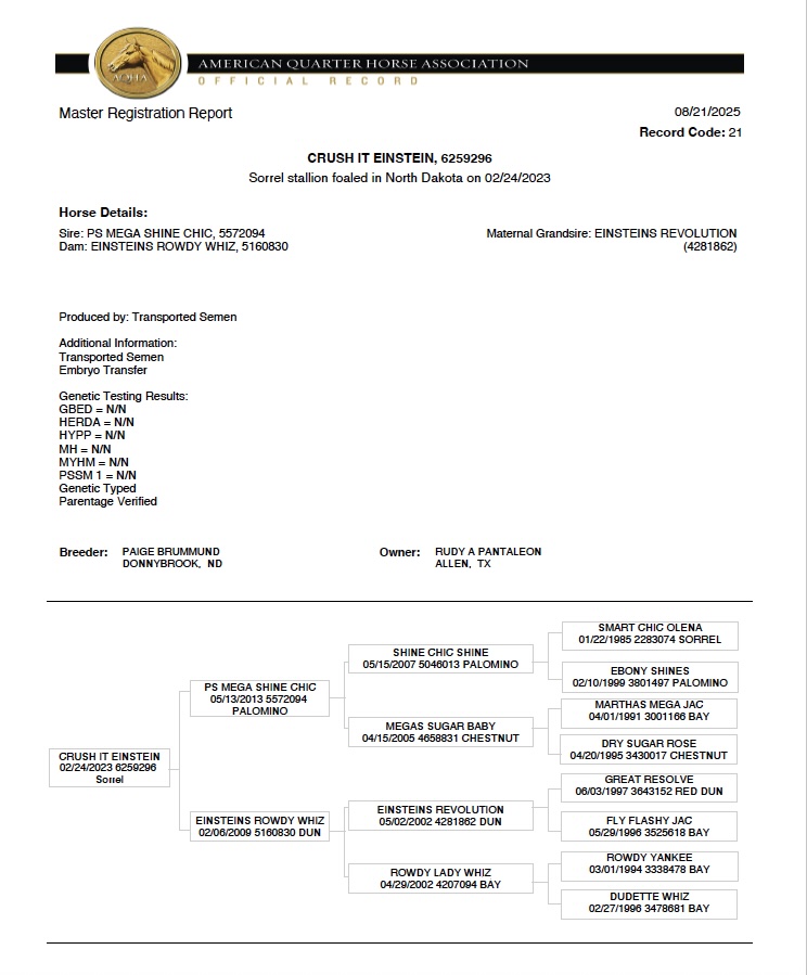 placeholder image-sq