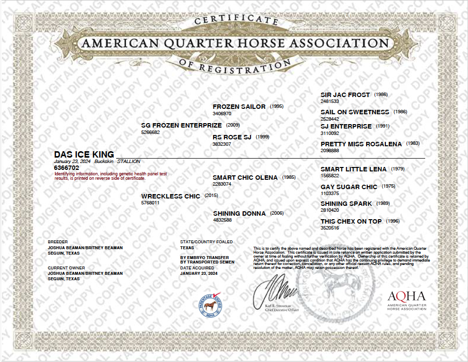 placeholder image-sq