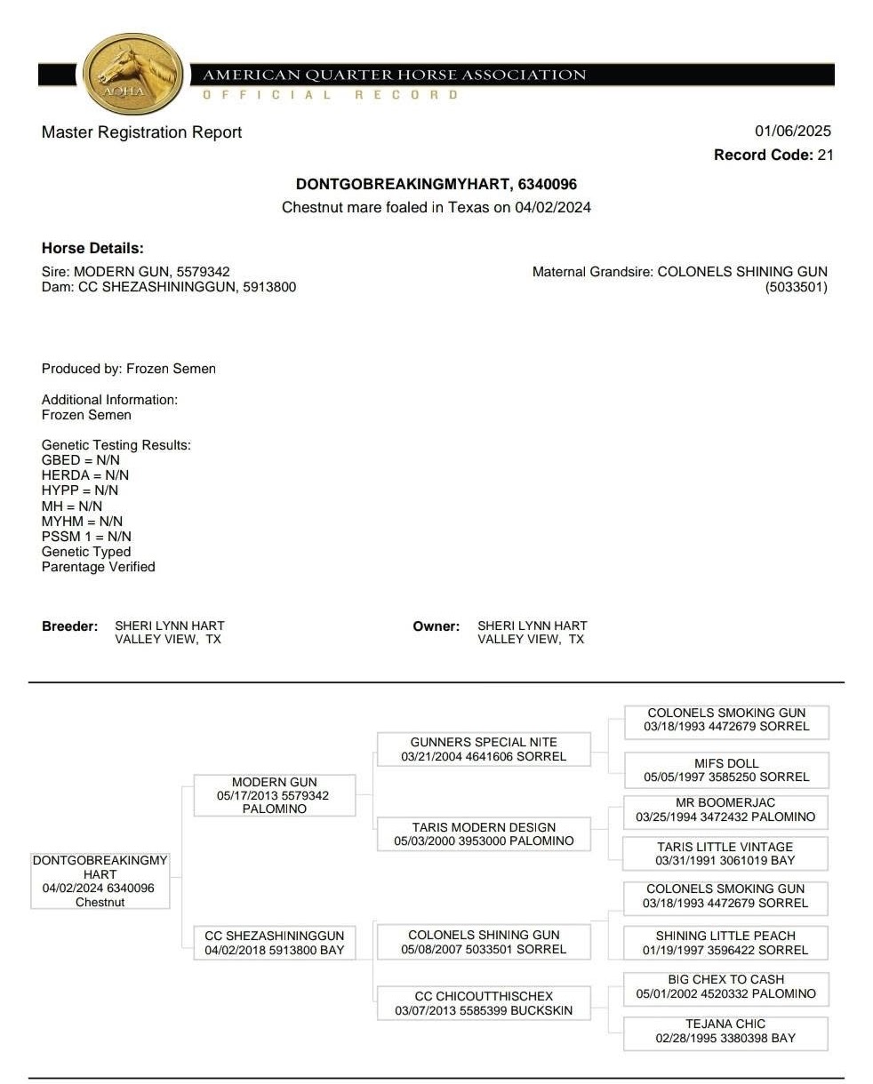 placeholder image-sq